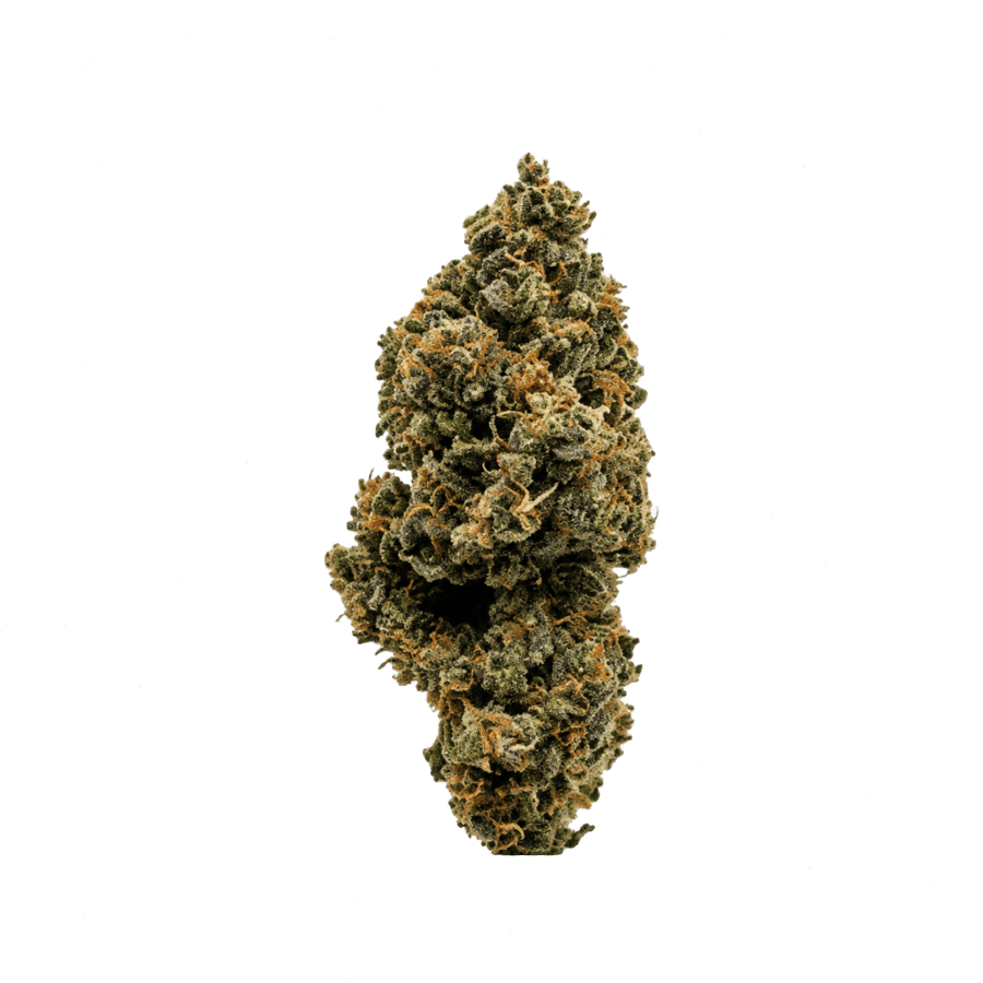 Fleur Blueberry Muffin