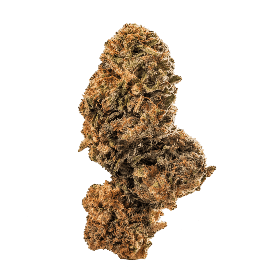 Fleur Comet Cream
