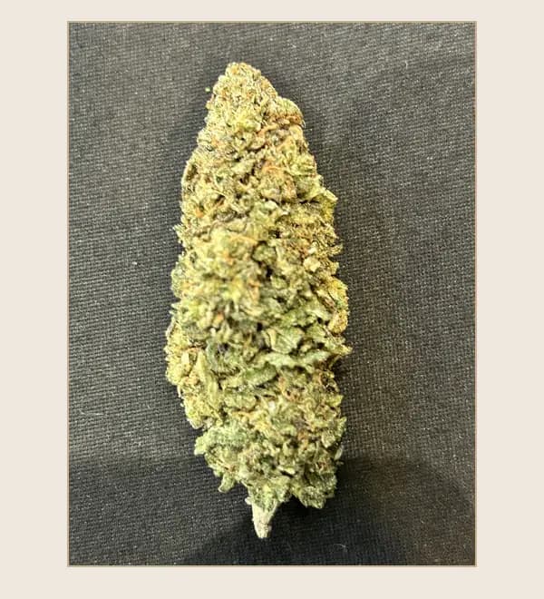 Fleur Gelato