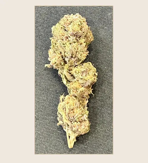 Fleur Tangie Juice