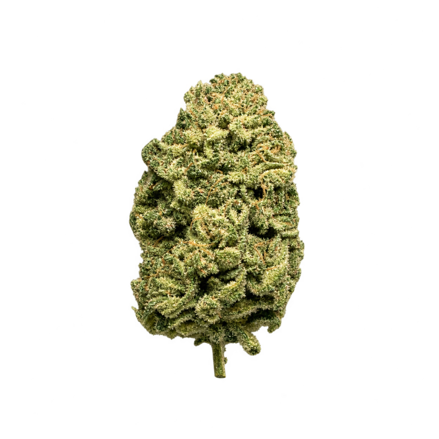 Fleur Shiva